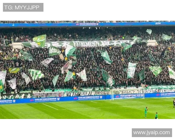 国安与申花激战回放精彩瞬间全景解析与赛后点评